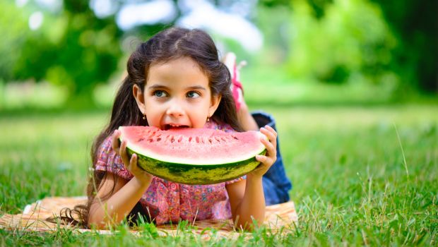 Spring and Summer Health/Safety Tips
