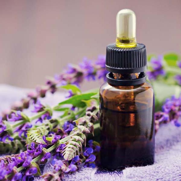 Ingredient Feature: Lavender