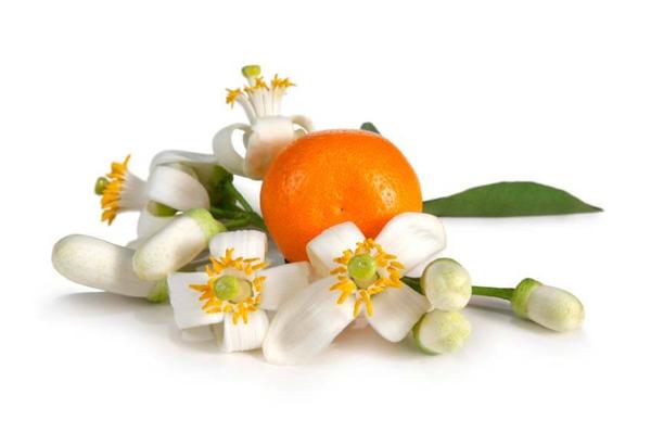 Ingredient Feature - Neroli
