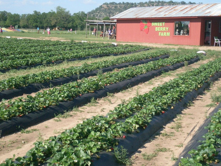 Staycation Spring Break Part Two