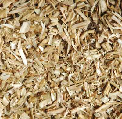 Ingredient Feature : White Willow Bark